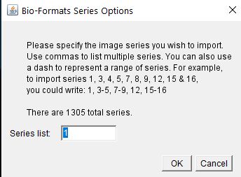 Bio-Formats Import numerical list