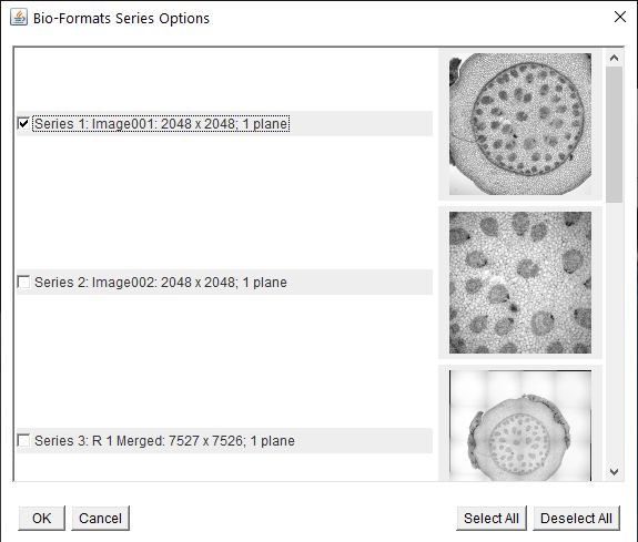 Bio-Formats Import thumbnail list